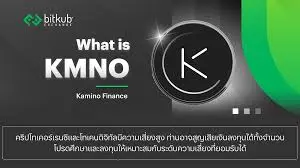 Karmino Finance